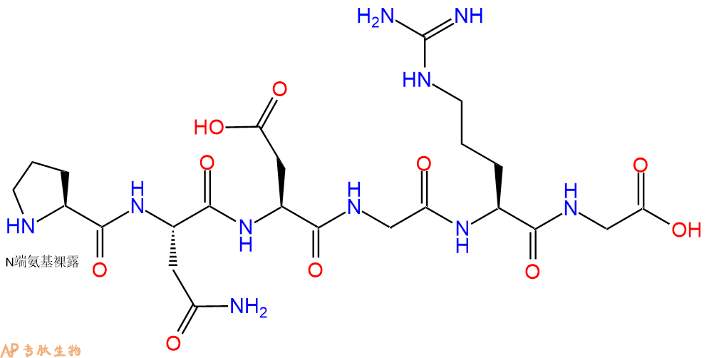 专肽生物产品H2N-Pro-Asn-Asp-Gly-Arg-Gly-COOH