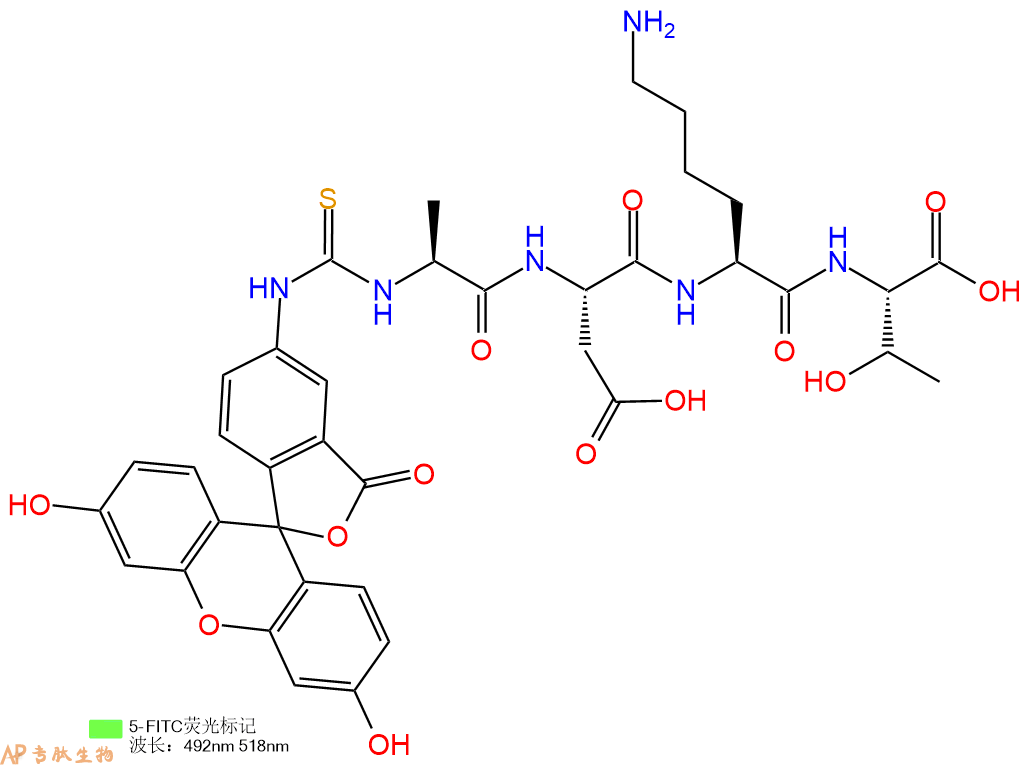 专肽生物产品5FITC-Ala-Asp-Lys-Thr-COOH