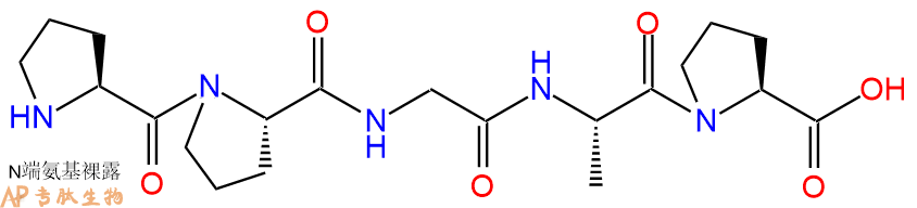 专肽生物产品H2N-Pro-Pro-Gly-Ala-Pro-COOH