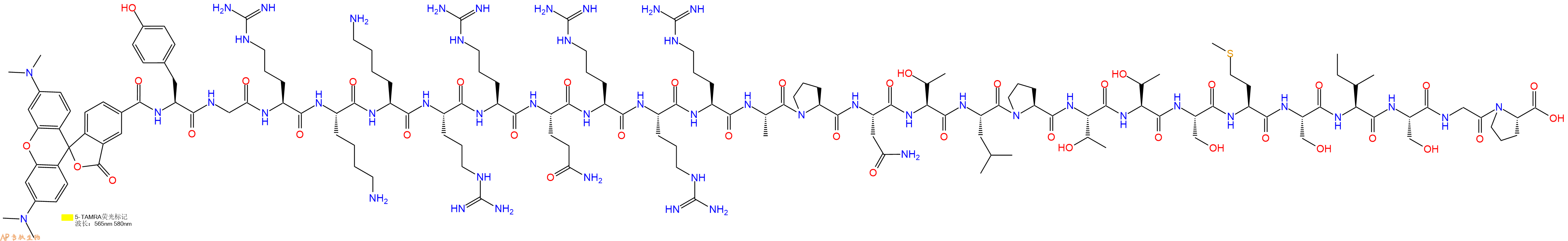 专肽生物产品5TAMRA-Tyr-Gly-Arg-Lys-Lys-Arg-Arg-Gln-Arg-Arg-Arg-Ala-Pro-Asn-Thr-Leu-Pro-Thr-Thr-Ser-Met-Ser-Ile-Ser-Gly-Pro-COOH