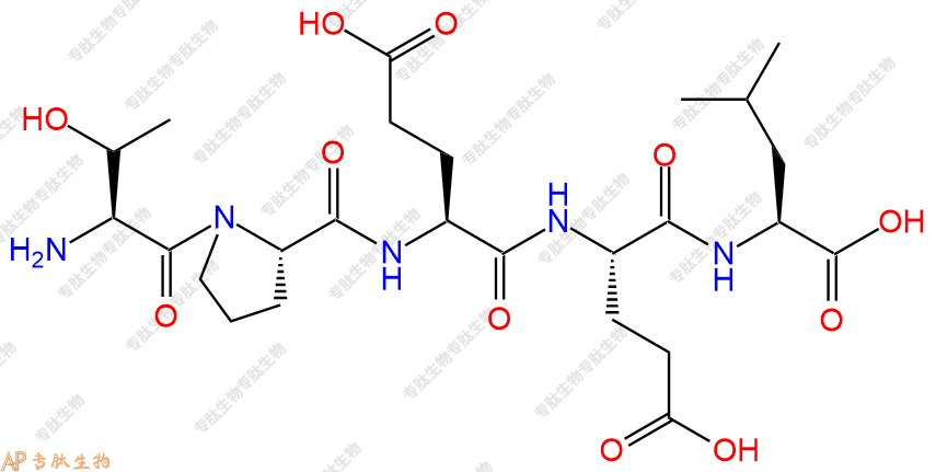 专肽生物产品H2N-Thr-Pro-Glu-Glu-Leu-COOH