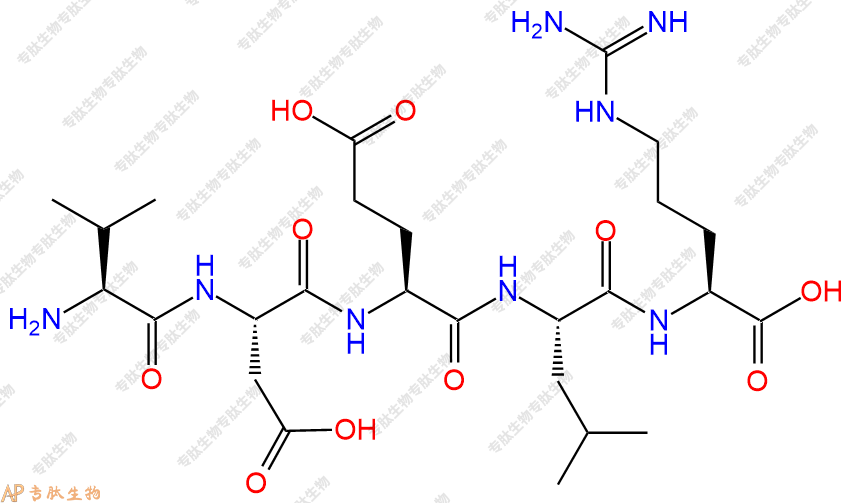 专肽生物产品H2N-Val-Asp-Glu-Leu-Arg-COOH