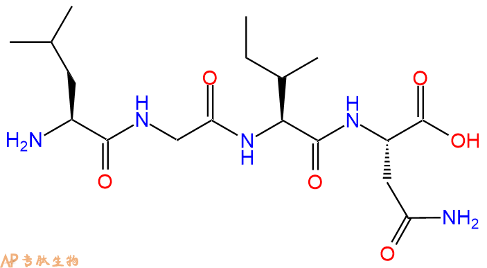 专肽生物产品H2N-Leu-Gly-Ile-Asn-COOH