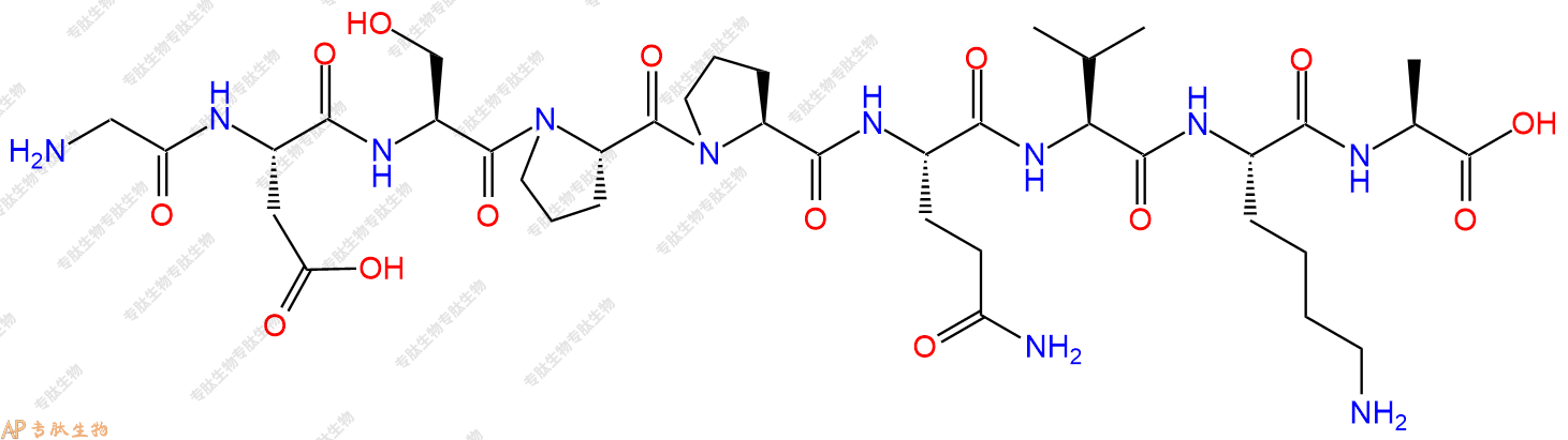 专肽生物产品H2N-Gly-Asp-Ser-Pro-Pro-Gln-Val-Lys-Ala-COOH