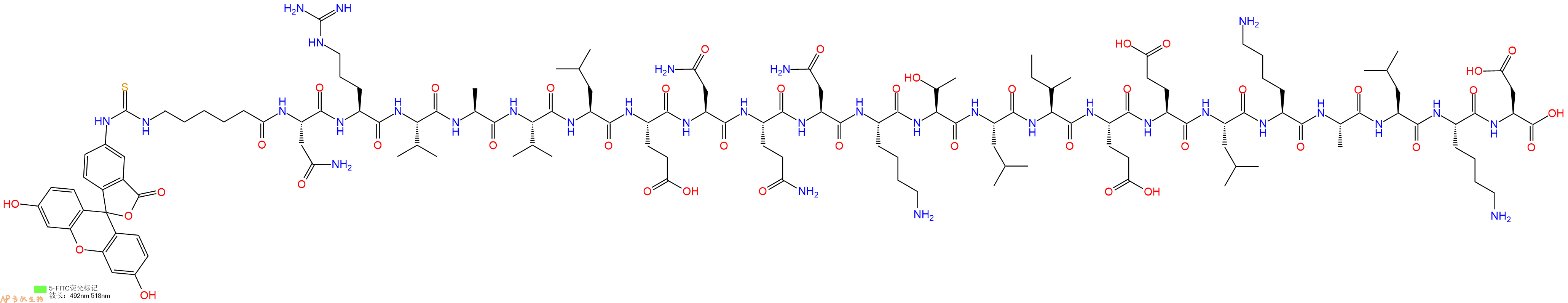 专肽生物产品5FITC-Ahx-Asn-Arg-Val-Ala-Val-Leu-Glu-Asn-Gln-Asn-Lys-Thr-Leu-Ile-Glu-Glu-Leu-Lys-Ala-Leu-Lys-Asp-COOH