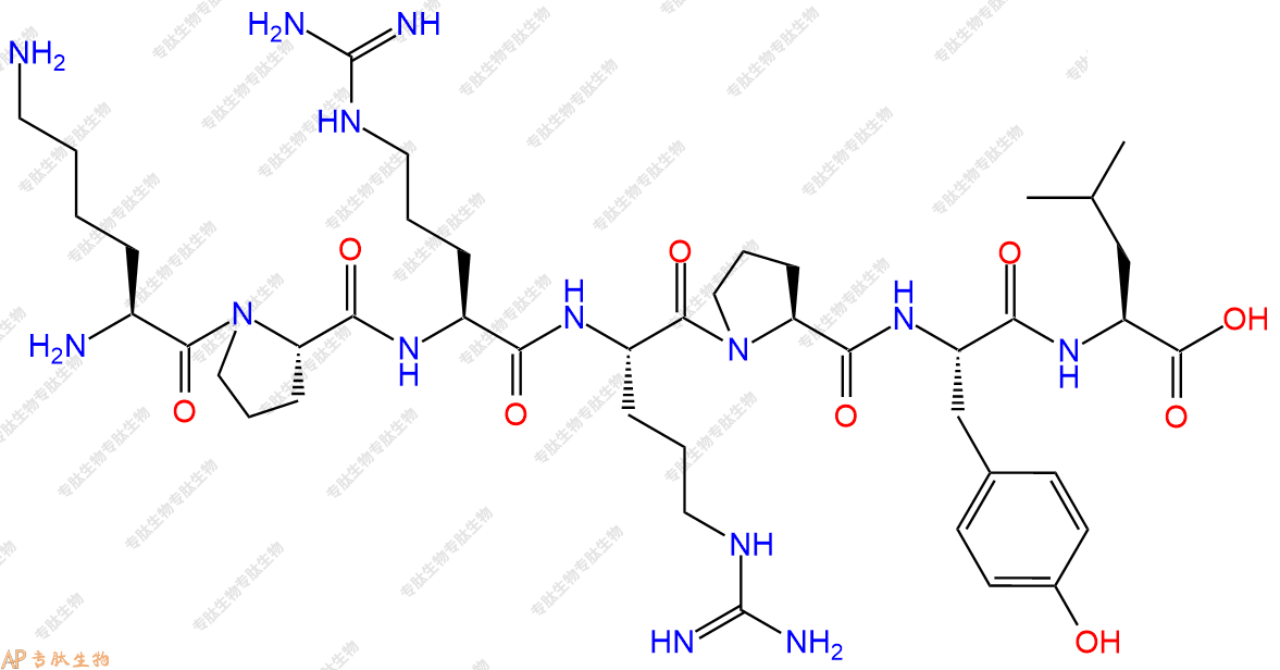 专肽生物产品H2N-Lys-Pro-Arg-Arg-Pro-Tyr-Leu-COOH