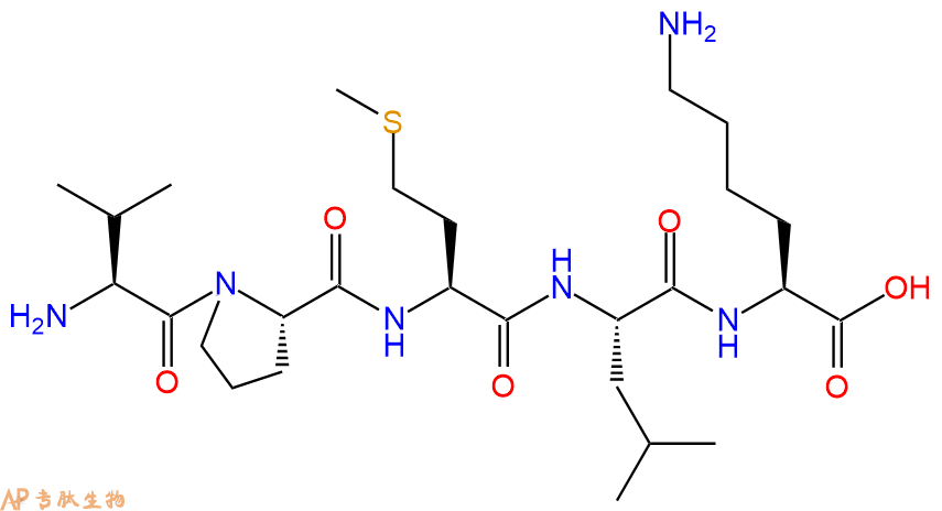 专肽生物产品Bax抑制剂多肽 Bax inhibitor peptide V5579492-81-2/2760881-58-9