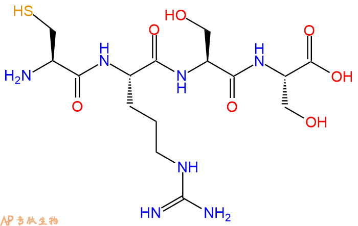 专肽生物产品H2N-Cys-Arg-Ser-Ser-COOH