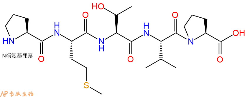 专肽生物产品H2N-Pro-Met-Thr-Val-Pro-COOH