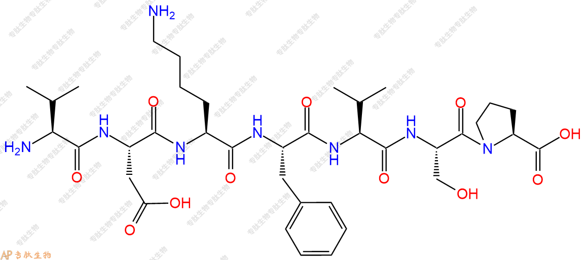 专肽生物产品H2N-Val-Asp-Lys-Phe-Val-Ser-Pro-COOH