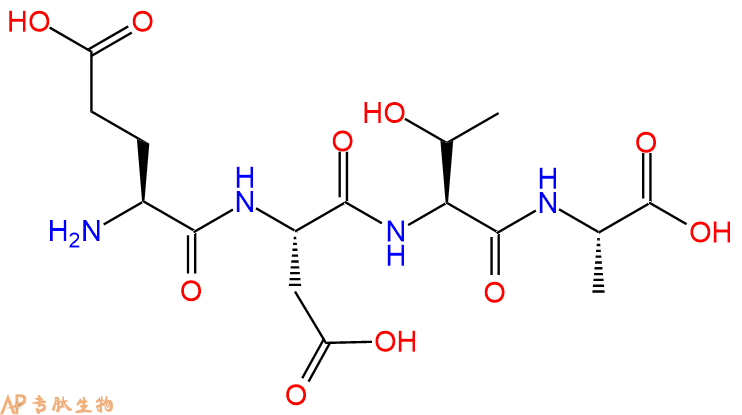 专肽生物产品H2N-Glu-Asp-Thr-Ala-COOH