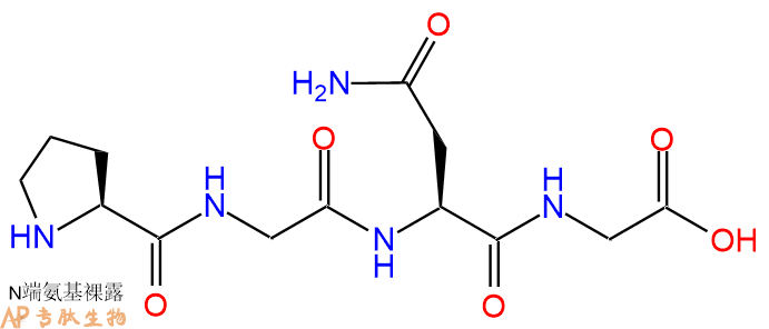 专肽生物产品H2N-Pro-Gly-Asn-Gly-COOH