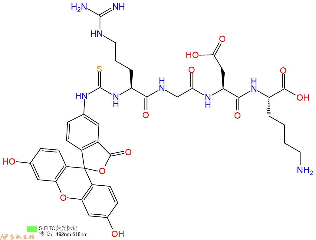 专肽生物产品5FITC-Arg-Gly-Asp-Lys-COOH