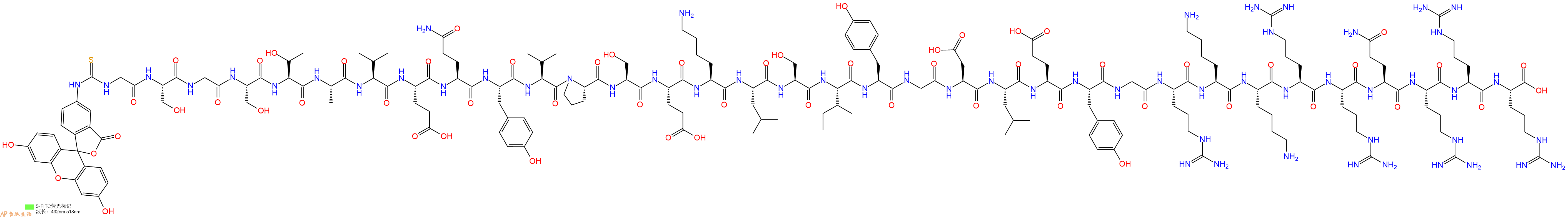 专肽生物产品5FITC-Gly-Ser-Gly-Ser-Thr-Ala-Val-Glu-Gln-Tyr-Val-Pro-Ser-Glu-Lys-Leu-Ser-Ile-Tyr-Gly-Asp-Leu-Glu-Tyr-Gly-Arg-Lys-Lys-Arg-Arg-Gln-Arg-Arg-Arg-COOH