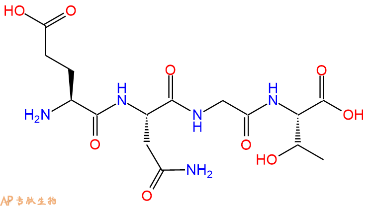 专肽生物产品H2N-Glu-Asn-Gly-Thr-COOH
