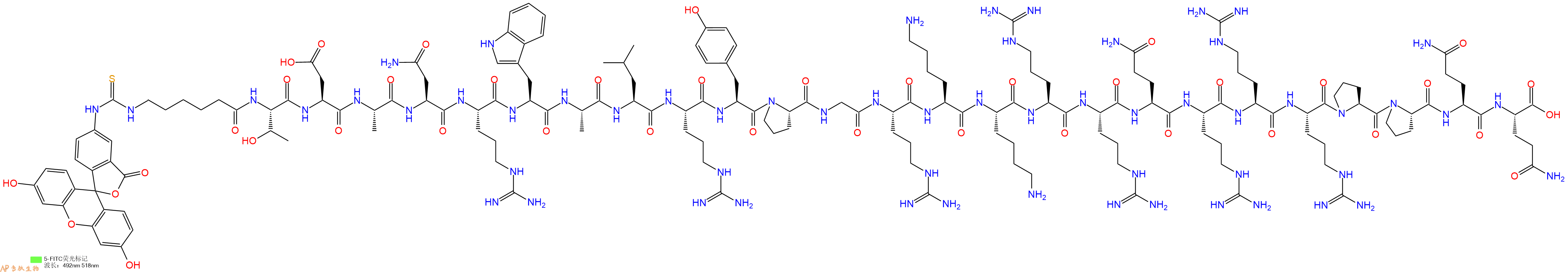 专肽生物产品5FITC-Ahx-Thr-Asp-Ala-Asn-Arg-Trp-Ala-Leu-Arg-Tyr-Pro-Gly-Arg-Lys-Lys-Arg-Arg-Gln-Arg-Arg-Arg-Pro-Pro-Gln-Gln-COOH