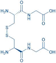 专肽生物产品(H-Cys-Gly-OH)₂ (Disulfide bond)7729-20-6