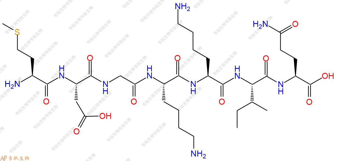 专肽生物产品H2N-Met-Asp-Gly-Lys-Lys-Ile-Gln-COOH