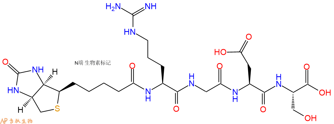 专肽生物产品Biotin-Arg-Gly-Asp-Ser-COOH