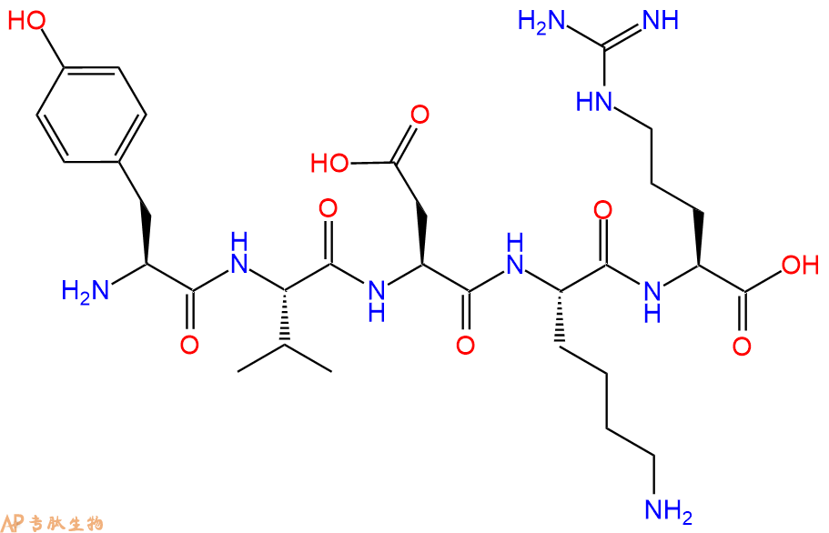 专肽生物产品H2N-Tyr-Val-Asp-Lys-Arg-COOH