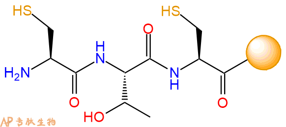 专肽生物产品H2N-Cys-Thr-Cys-Resin