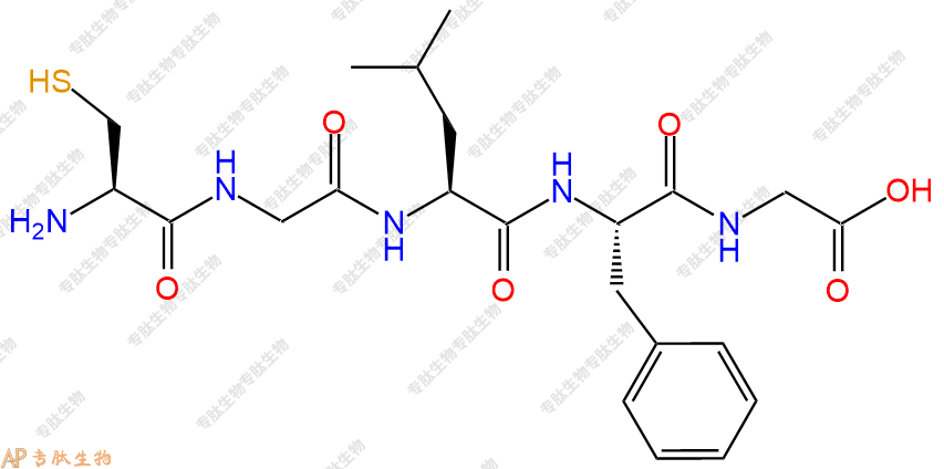 专肽生物产品H2N-Cys-Gly-Leu-Phe-Gly-COOH