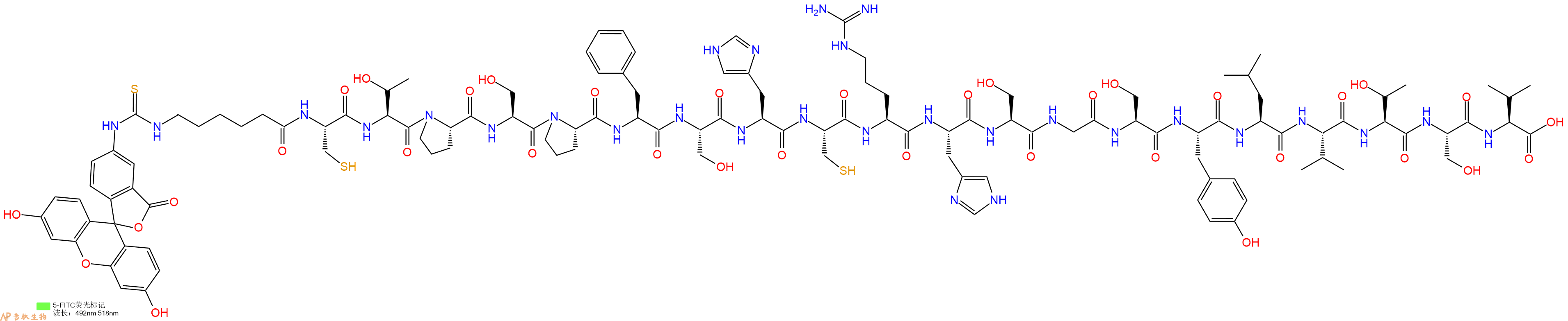专肽生物产品5FITC-Ahx-Cys-Thr-Pro-Ser-Pro-Phe-Ser-His-Cys-Arg-His-Ser-Gly-Ser-Tyr-Leu-Val-Thr-Ser-Val-COOH