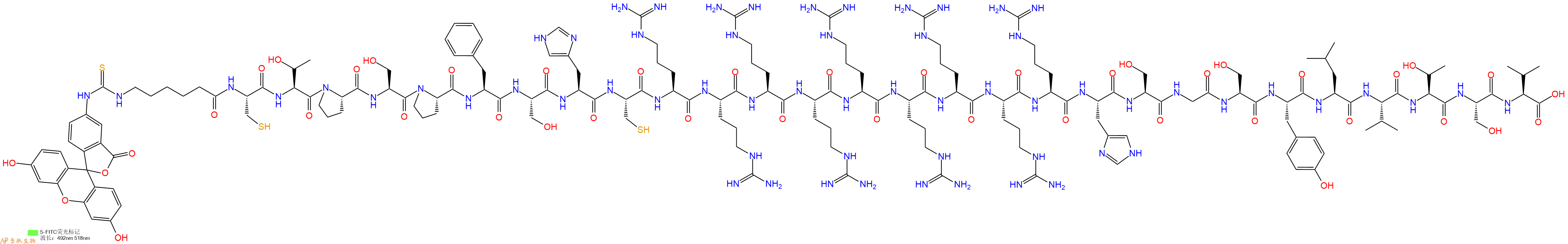 专肽生物产品5FITC-Ahx-Cys-Thr-Pro-Ser-Pro-Phe-Ser-His-Cys-Arg-Arg-Arg-Arg-Arg-Arg-Arg-Arg-Arg-His-Ser-Gly-Ser-Tyr-Leu-Val-Thr-Ser-Val-COOH