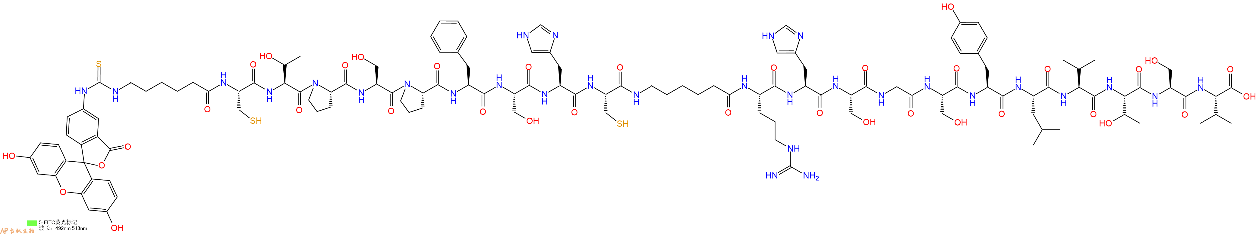 专肽生物产品5FITC-Ahx-Cys-Thr-Pro-Ser-Pro-Phe-Ser-His-Cys-Ahx-Arg-His-Ser-Gly-Ser-Tyr-Leu-Val-Thr-Ser-Val-COOH
