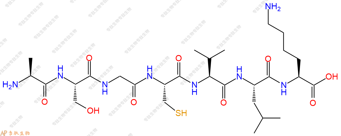 专肽生物产品H2N-Ala-Ser-Gly-Cys-Val-Leu-Lys-COOH