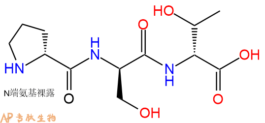 专肽生物产品H2N-DPro-DSer-DThr-COOH