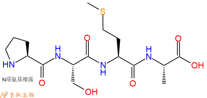 专肽生物产品H2N-Pro-Ser-Met-Ala-COOH