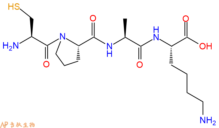 专肽生物产品H2N-Cys-Pro-Ala-Lys-COOH