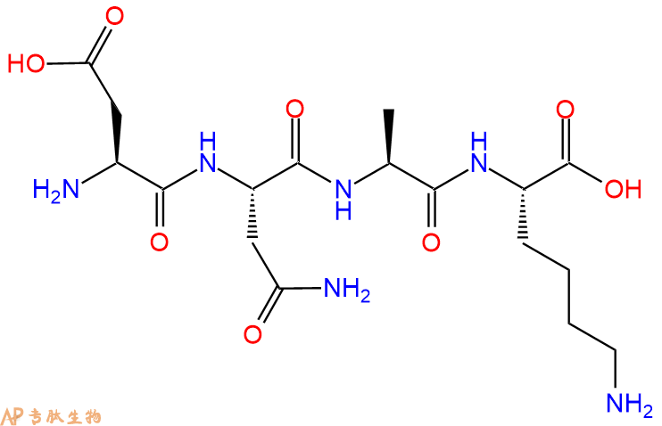 专肽生物产品H2N-Asp-Asn-Ala-Lys-COOH