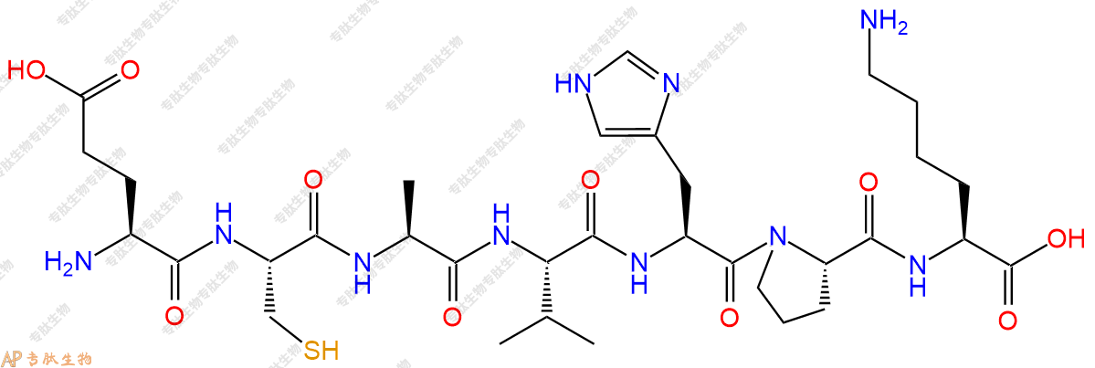 专肽生物产品H2N-Glu-Cys-Ala-Val-His-Pro-Lys-COOH