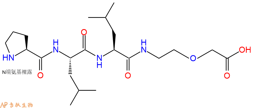专肽生物产品Pro-Leu-Leu-PEG