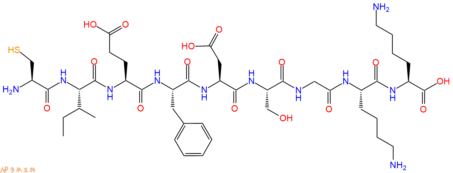 专肽生物产品H2N-Cys-Ile-Glu-Phe-Asp-Ser-Gly-Lys-Lys-COOH