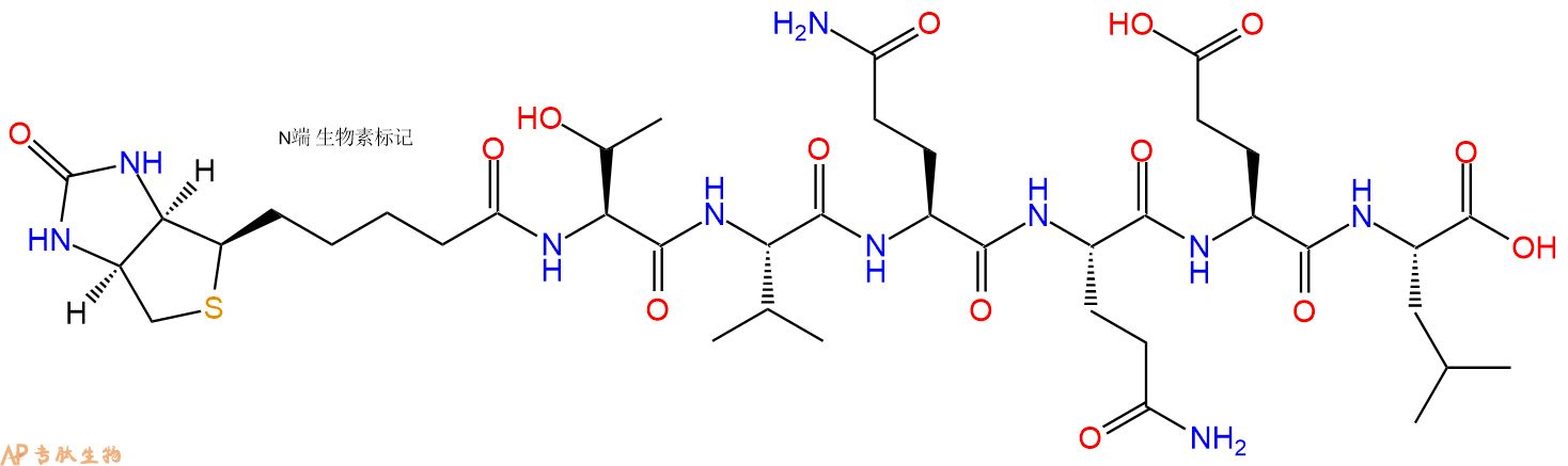 专肽生物产品Transglutaminase Substrate, biotinylated