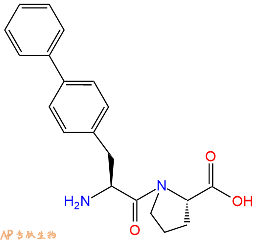 专肽生物产品H2N-Bip-Pro-COOH