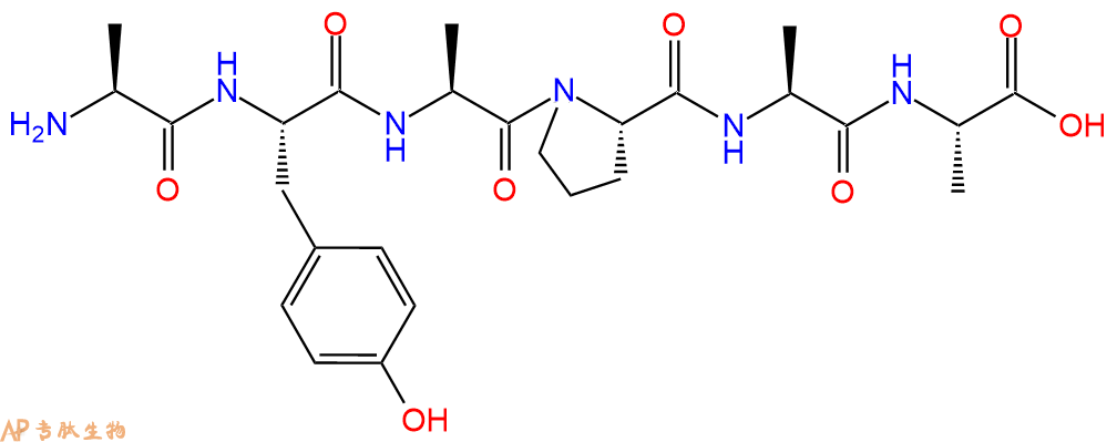 专肽生物产品H2N-Ala-Tyr-Ala-Pro-Ala-Ala-COOH