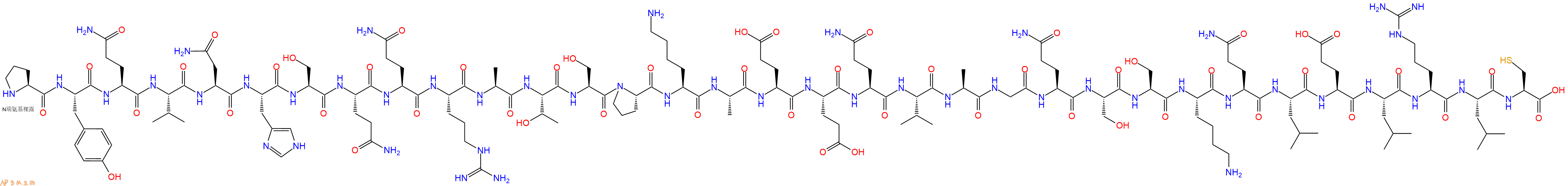 专肽生物产品H2N-Pro-Tyr-Gln-Val-Asn-His-Ser-Gln-Gln-Arg-Ala-Thr-Ser-Pro-Lys-Ala-Glu-Glu-Gln-Val-Ala-Gly-Gln-Ser-Ser-Lys-Gln-Leu-Glu-Leu-Arg-Leu-Cys-COOH