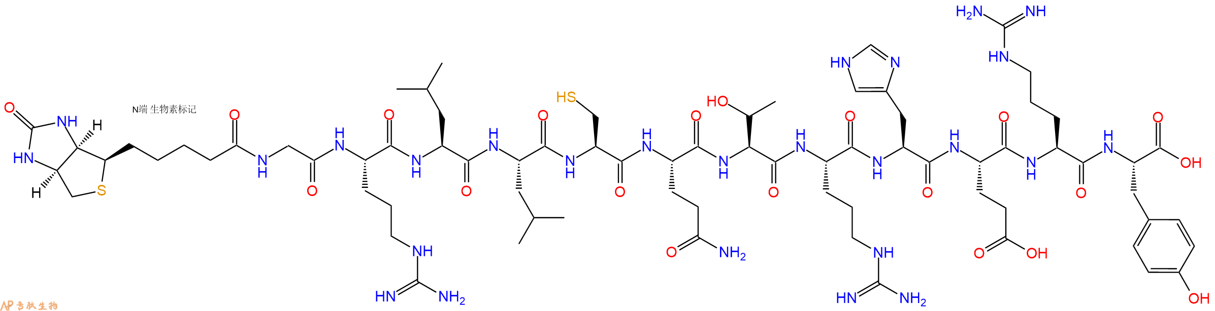 专肽生物产品Biotin-Gly-Arg-Leu-Leu-Cys-Gln-Thr-Arg-His-Glu-Arg-Tyr-COOH