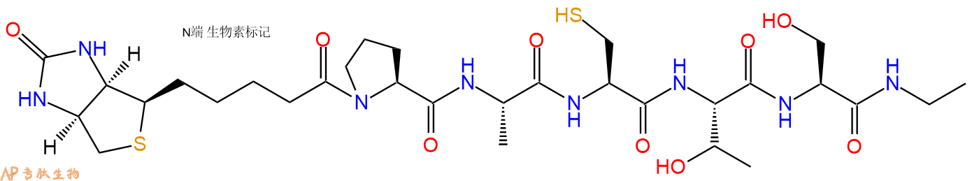 专肽生物产品Biotin-Pro-Ala-Cys-Thr-Ser-NHEt
