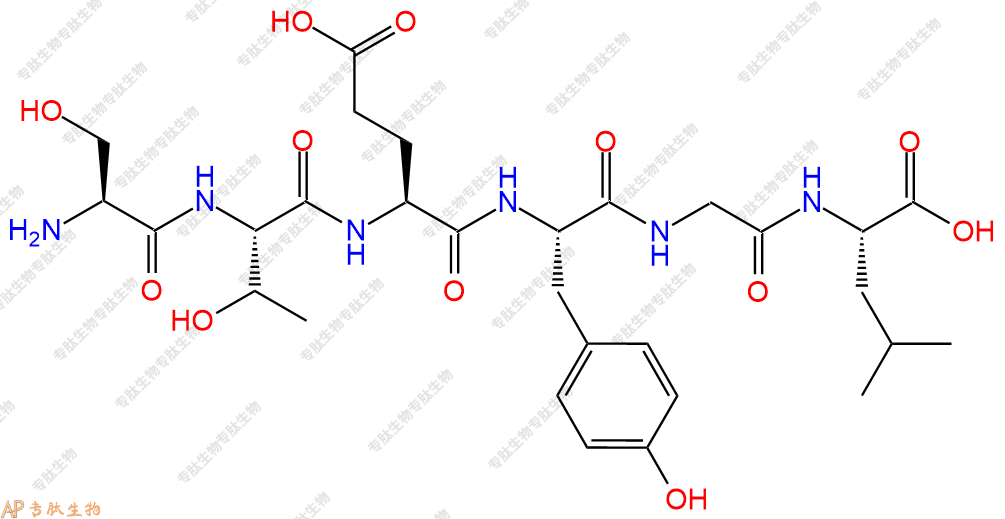 专肽生物产品H2N-Ser-Thr-Glu-Tyr-Gly-Leu-COOH