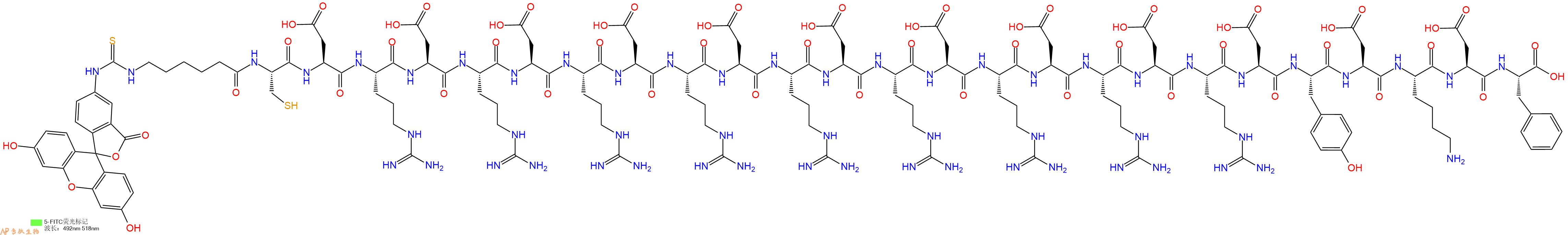 专肽生物产品5FITC-Ahx-Cys-Asp-Arg-Asp-Arg-Asp-Arg-Asp-Arg-Asp-Arg-Asp-Arg-Asp-Arg-Asp-Arg-Asp-Arg-Asp-Tyr-Asp-Lys-Asp-Phe-COOH