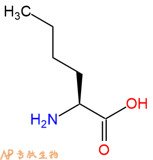 专肽生物产品H2N-Nle-COOH