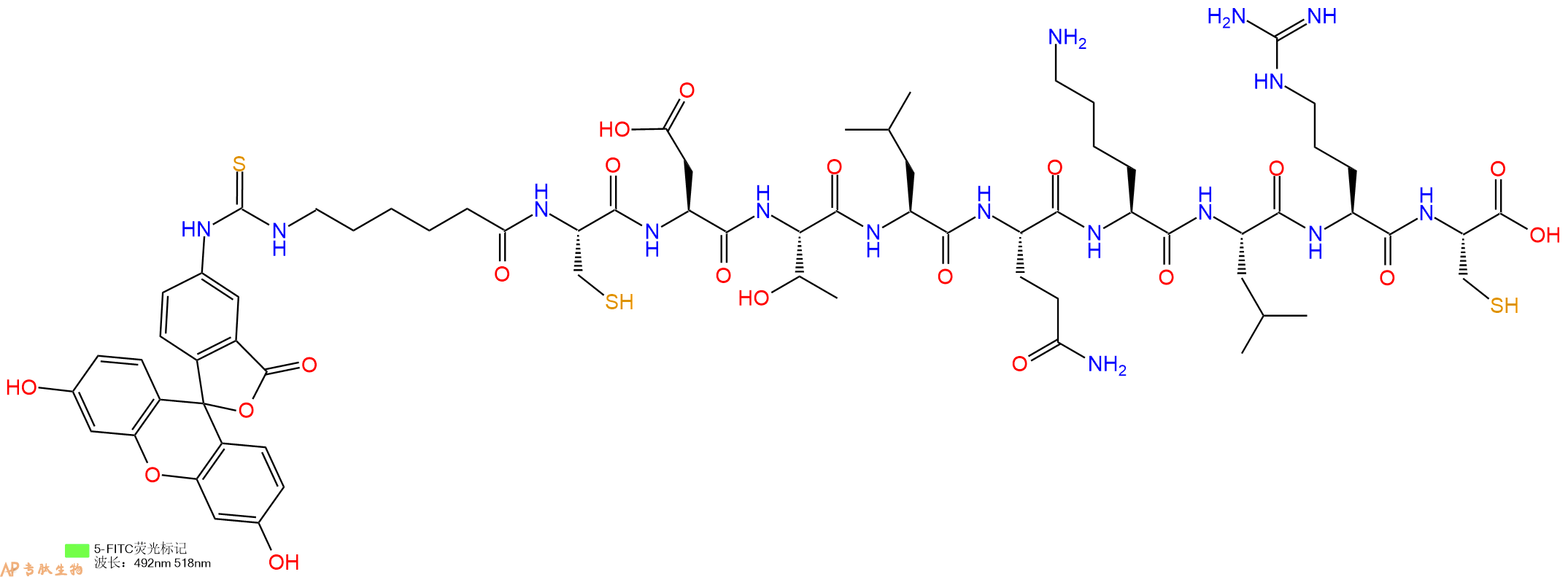 专肽生物产品5FITC-Ahx-Cys-Asp-Thr-Leu-Gln-Lys-Leu-Arg-Cys-COOH