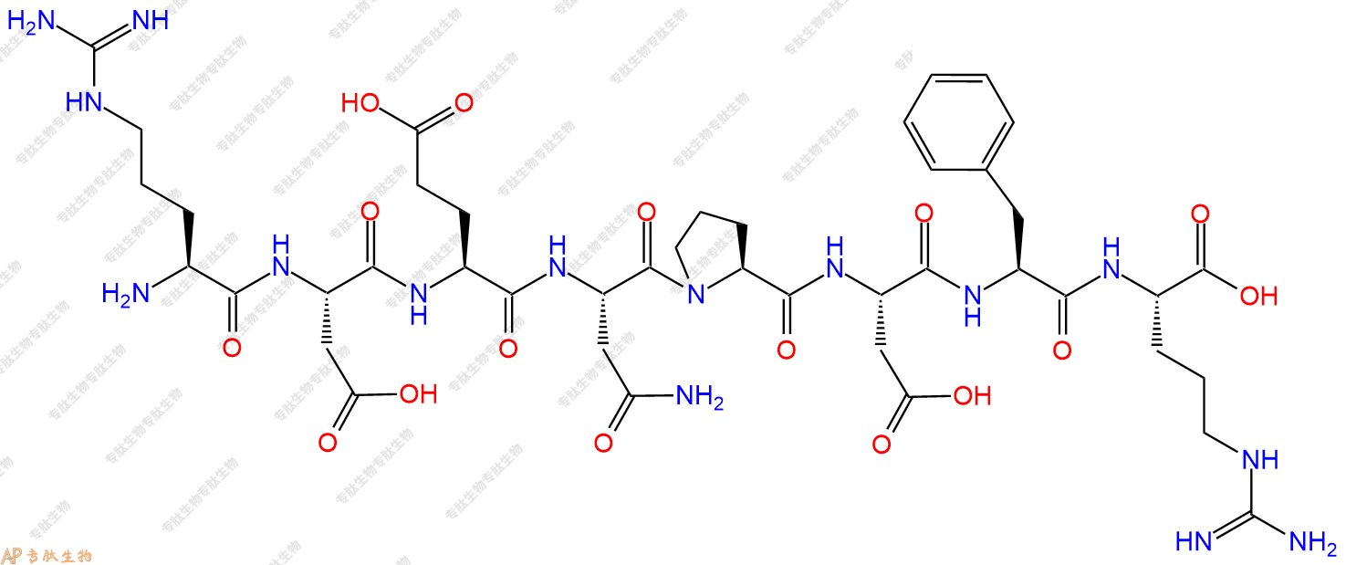 专肽生物产品H2N-Arg-Asp-Glu-Asn-Pro-Asp-Phe-Arg-COOH