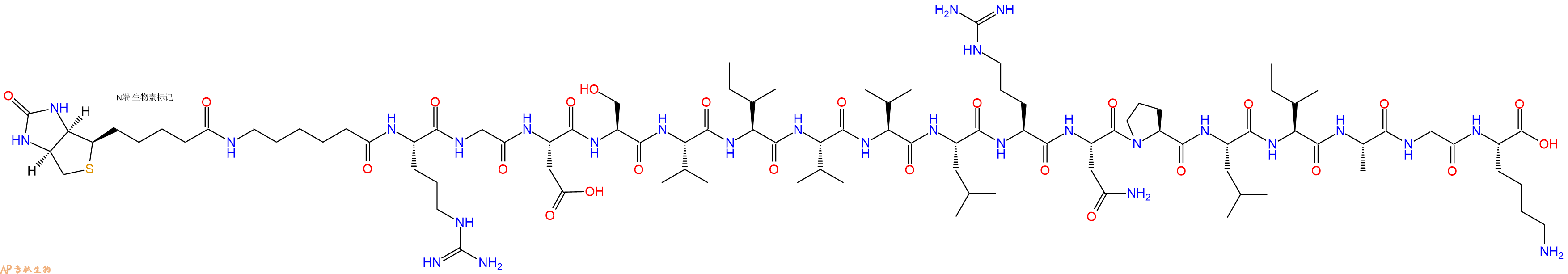 专肽生物产品Biotin-Ahx-Arg-Gly-Asp-Ser-Val-Ile-Val-Val-Leu-Arg-Asn-Pro-Leu-Ile-Ala-Gly-Lys-COOH