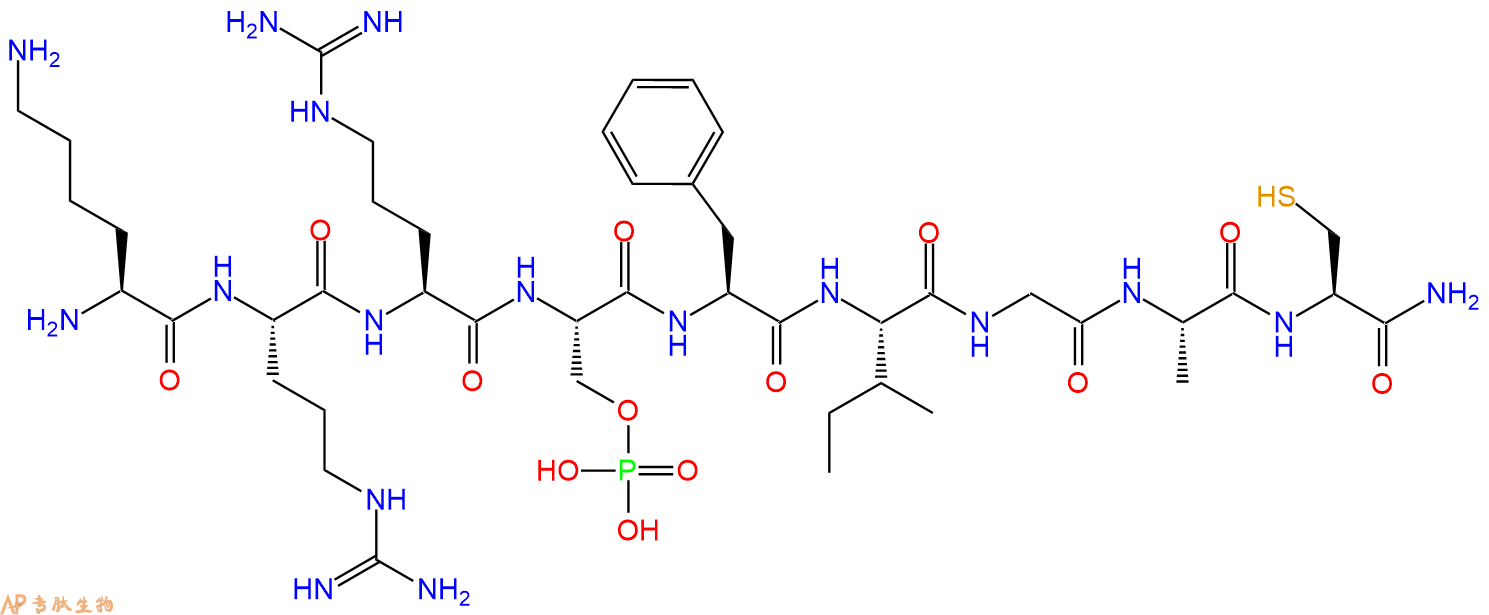 专肽生物产品H2N-Lys-Arg-Arg-Ser(PO3H2)-Phe-Ile-Gly-Ala-Cys-NH2